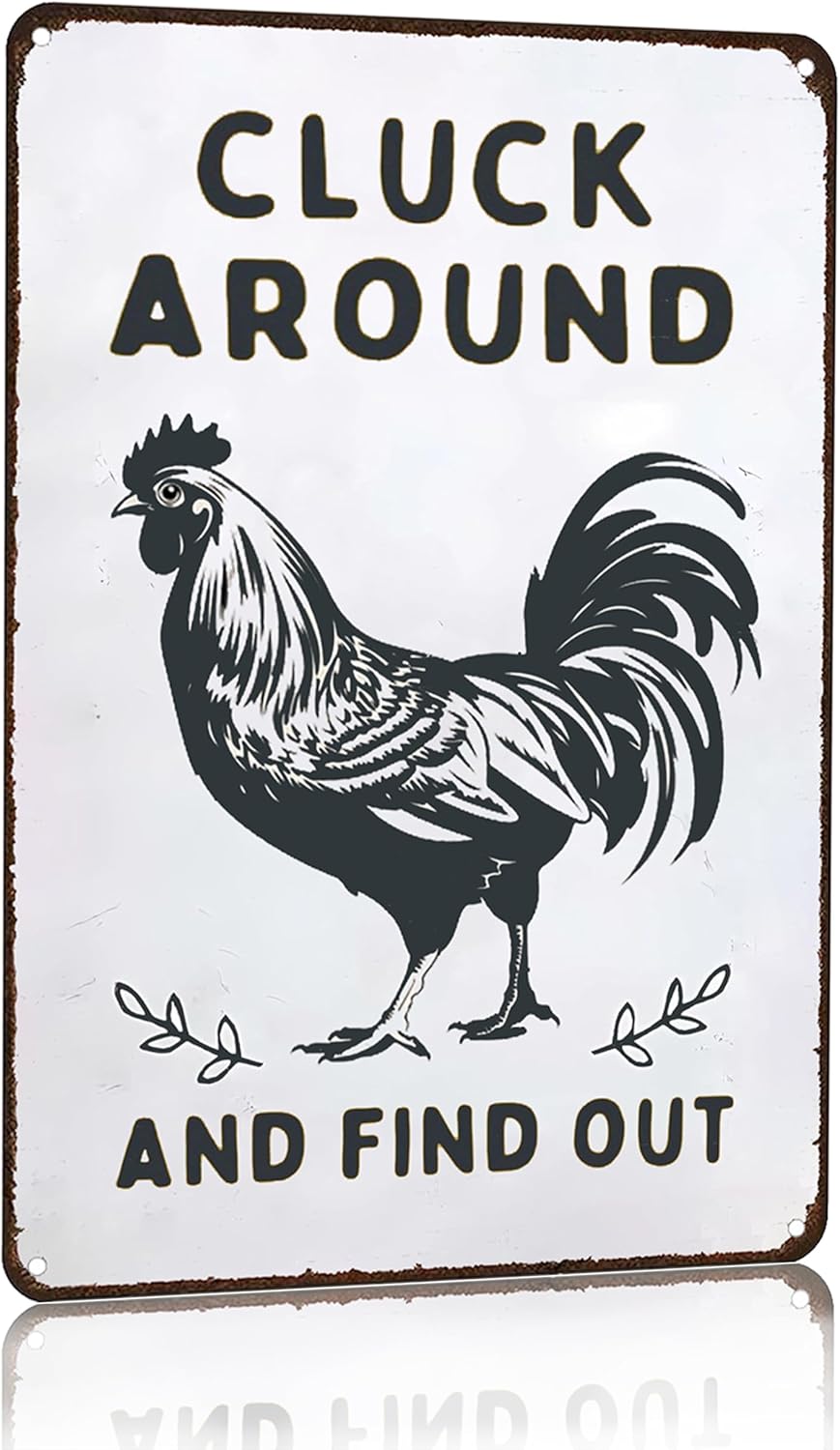 Funny Chicken Gifts Chicken Cluck Around and Find Out Tin Sign for Home Farm Chicken Coop Farmhouse Kitchen Garden Decor 8 X 12 Inch