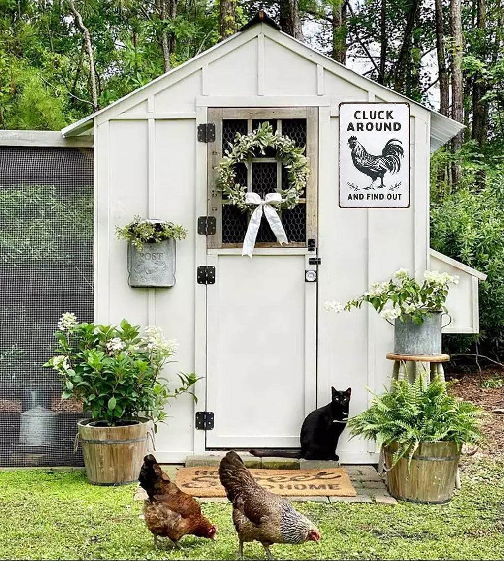 Funny Chicken Gifts Chicken Cluck Around and Find Out Tin Sign for Home Farm Chicken Coop Farmhouse Kitchen Garden Decor 8 X 12 Inch